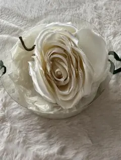 INGEBORG 白薔薇　ホワイト　バラ　コサージュのサムネイル