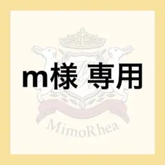m様 専用★ゆうパケット★
