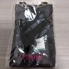 KARA KARASIA 2nd JAPAN TOUR 2013 チケットケース