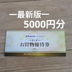 ヤマダ電機　株主優待