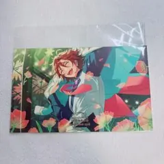 あんスタ 10周年 展示会 特典 ポストカード MaM