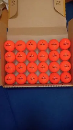 本間ゴルフD-1オレンジ色ロストボール24球