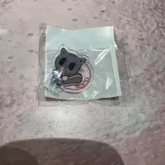 TXT PPULBATU プルバトゥ カプセルトイ　ダゴニャン