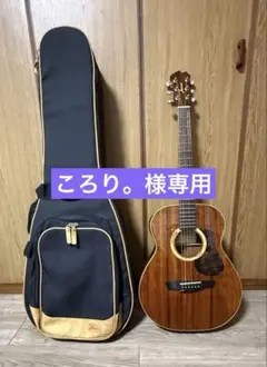 2026年最新】James アコースティックギターの人気アイテム - メルカリ