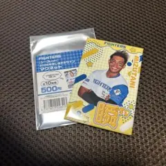 北海道日本ハムファイターズ 水谷選手 マグネット