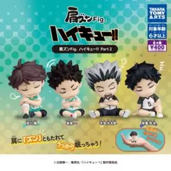 ハイキュー!! 肩ズンFig. 岩泉一