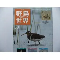 週刊　野鳥の世界　全121号セット【専用バインダー付き】 2025年最新】週刊 野鳥の世界の人気アイテム - メルカリ
