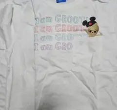 東京ディズニーリゾート Tシャツ イッツスモールワールド　グルート　M
