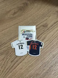 Item thumbnail for item 1ea24966-cb47-4fd7-b56f-d433d0a31f3d