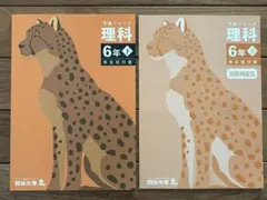 【中学入試対策】四谷大塚 予習シリーズ 理科6年下