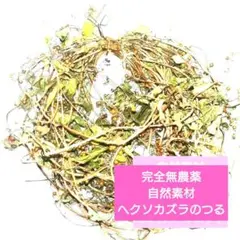 Item thumbnail for item ff2045dc-ace6-4980-acb9-7765b257e2c9