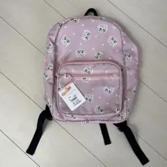 Item thumbnail for item 29ed7315-0474-48b1-9fbc-dc4d8ec5f79c