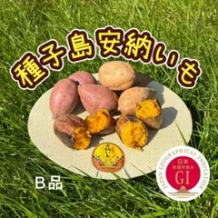種子島安納いも MIX B品 5kg