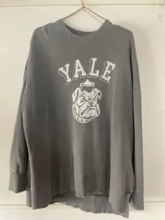 Yale Bulldog プリント スウェットシャツ グレー
