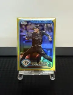 Item thumbnail for item 825168fb-fd0a-48c2-8263-d2905a8174f9