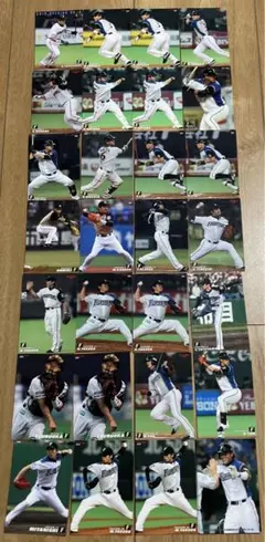 プロ野球チップスカード　北海道日本ハムファイターズ
