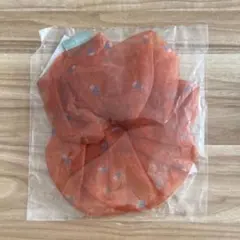 なにわのにわ ビッグシュシュ