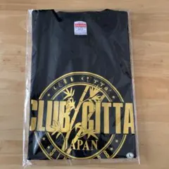 Item thumbnail for item c3030752-a50d-4054-90ac-2dc6dc370cef