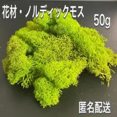 플라워 소재 노르딕 모스 라이트 그린 50g