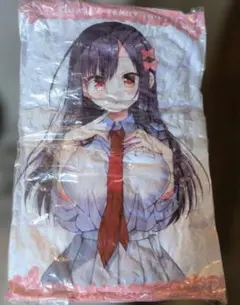 当時品 翡翠の萌え萌えバスタオル 月姫 TYPE-MOON - メルカリ