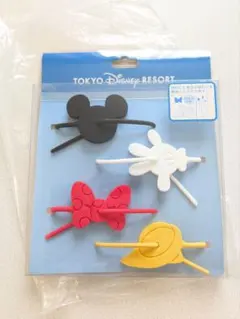 ディズニーリゾート ラッピングタイ　マグネット