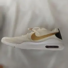 Item thumbnail for item 10f51371-c583-435d-909c-52f47ef24d4b