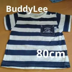 【美品】BUDDY Lee ボーダーtee80