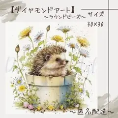 【ダイヤモンドアート】　ビーズアート　ラウンドビーズ　30×30　ハリネズミ