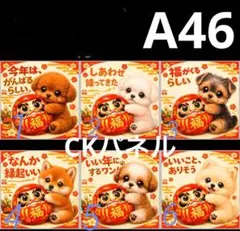 ご確認用　46わんこ柄　ハンカチ　ハンドメイド12/23