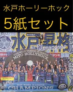 11/30 水戸ホーリーホック 「Ｊ１昇格」スポーツ新聞5紙セット