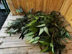 えい様 リクエスト 3点 まとめ商品