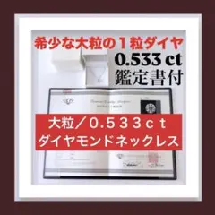限定値下げ中‼️中央宝石研究所 ダイヤモンドリング 0.317ct VS-1 
