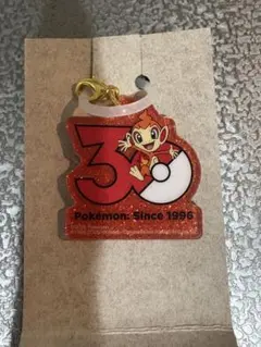 ポケモン 30周年 ロゴマスコット ヒコザル