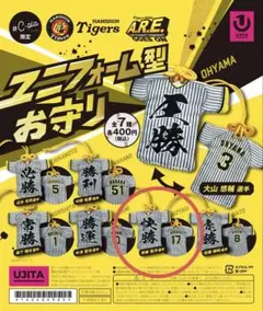 阪神タイガース　青柳晃洋刺繍ユニ　メジャー挑戦中　刺繍費10万以上 阪神タイガース 青柳晃洋刺繍ユニ メジャー挑戦中 刺繍費10万