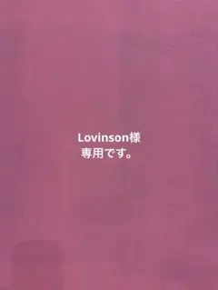 Lovinson様 リクエスト 4点 まとめ商品