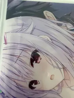 セレクトオブリージュトウリ A6アクリルパネル よろずやショップびっく 