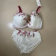 新品★Body Conscious/ワコールブラジャー ショーツ セットのサムネイル