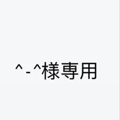 専用ページ