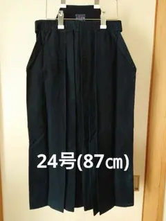 Item thumbnail for item a7af519f-cd41-4b67-847a-67e303bc0f55