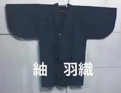 Item thumbnail for item 5d12daa6-946b-4244-bc4d-7186eff99611