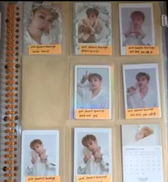 straykids バンチャン シーグリ 2024 12枚