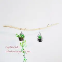 Item thumbnail for item 8cef6627-aa03-44bc-a8b3-dddd54914bd9