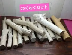 流木セット　no.341