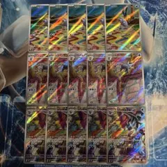 セビエ セゴール セグレイブ AR 進化ライン 各5枚計15枚　まとめ売り