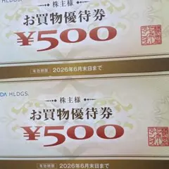 ヤマダ電機　YAMADA HDGS お買物優待券 ¥500×2枚の1000円分
