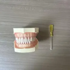 Item thumbnail for item b6a86acd-563f-4b9c-b4c6-26e787fed451