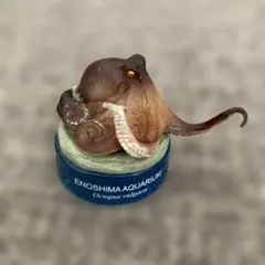 新江ノ島水族館 マダコ フィギュア　荒俣宏のサムネイル