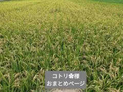 コトリ✿様 おまとめページです。いつもありがとうございます(*..)”