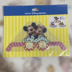 78 パーティーサングラス　メモ　ディズニーランド　シー　ミッキー　ミニー