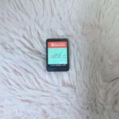 【Nintendo Switch】あつまれどうぶつの森